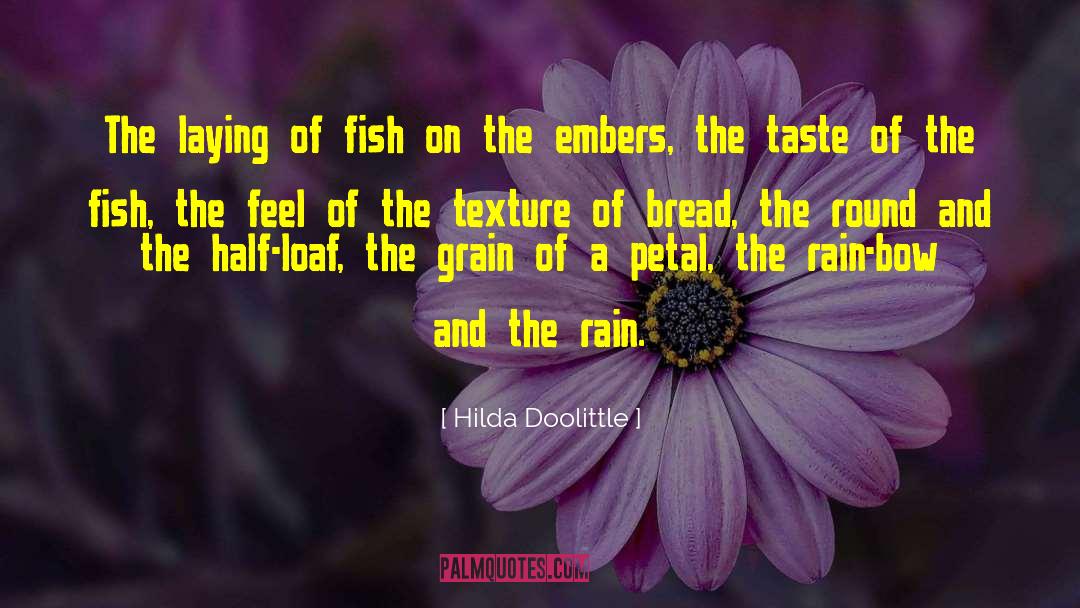 A Petal quotes by Hilda Doolittle