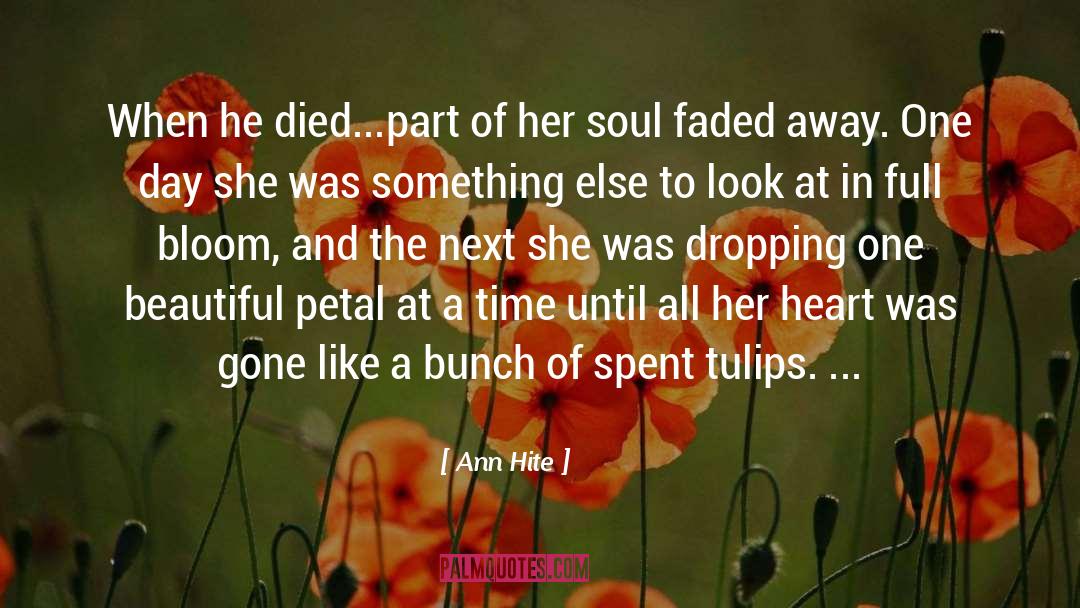 A Petal quotes by Ann Hite