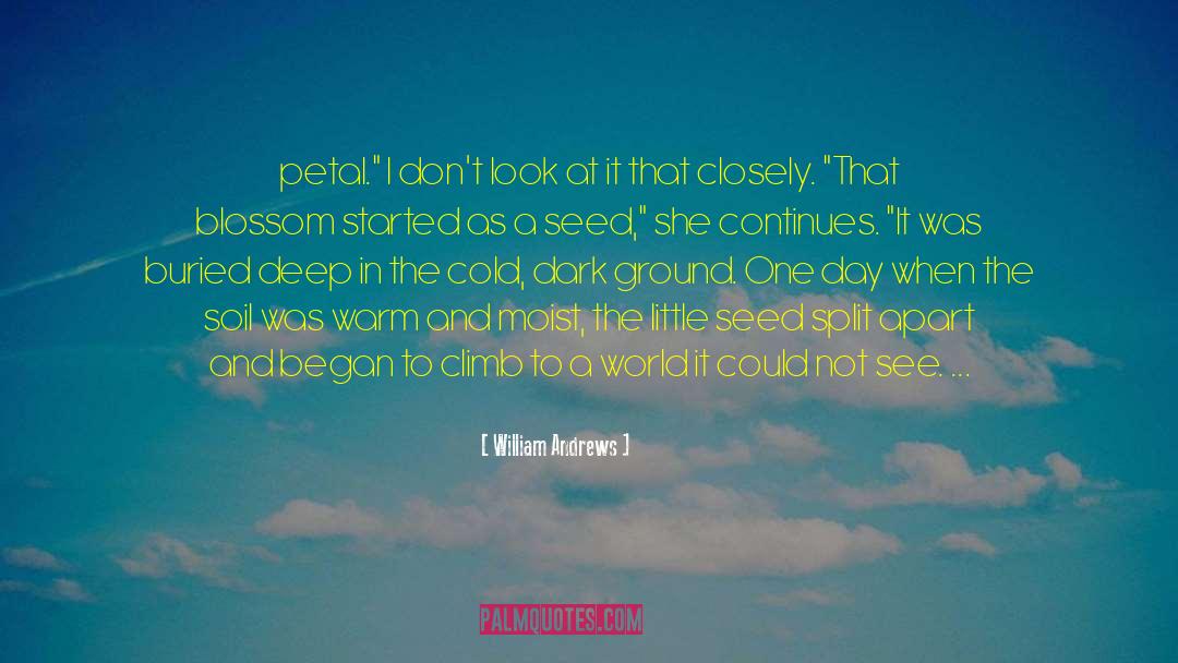 A Petal quotes by William Andrews