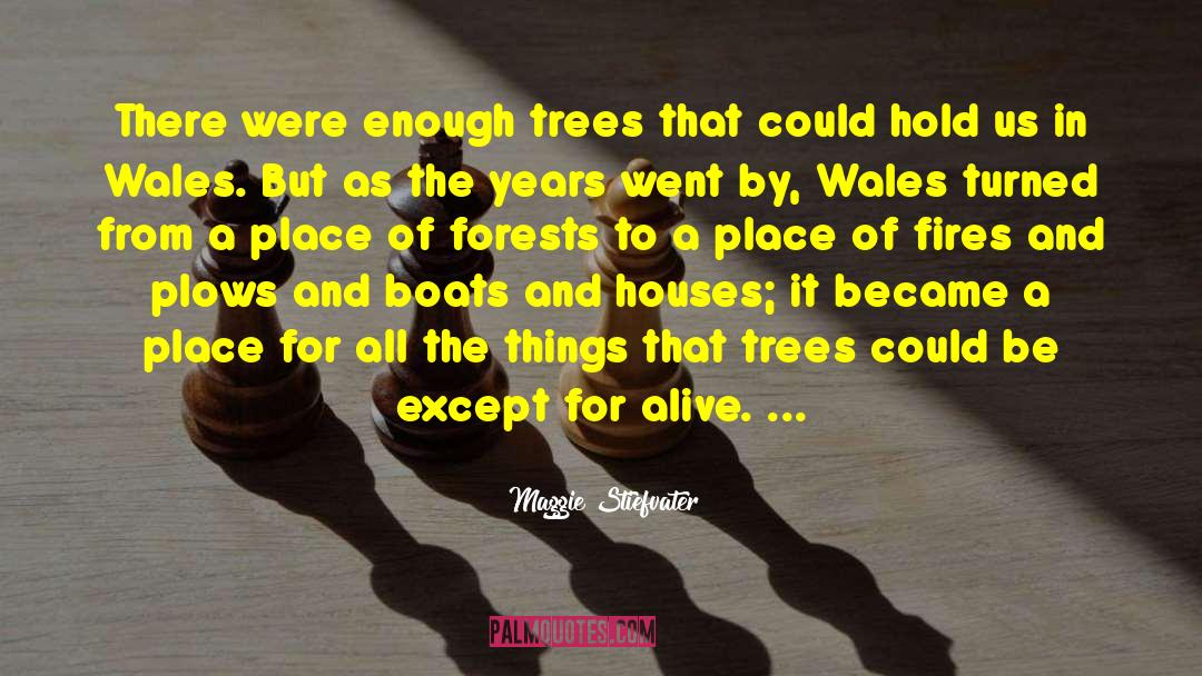 A Place For Wolves quotes by Maggie Stiefvater