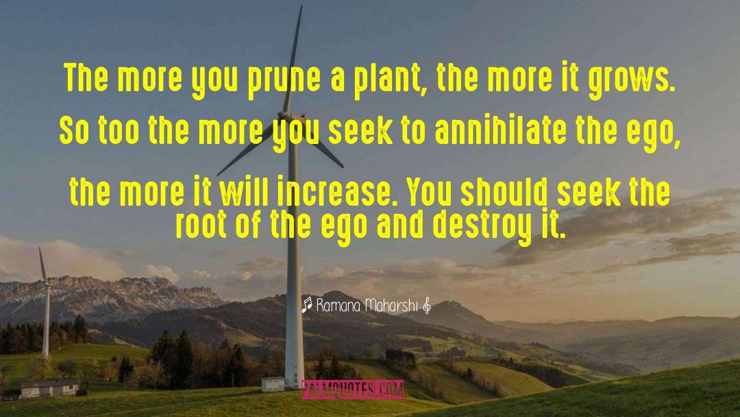 A Plant quotes by Ramana Maharshi