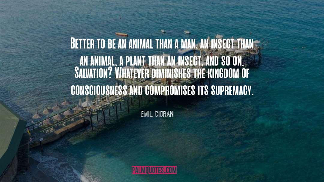 A Plant quotes by Emil Cioran