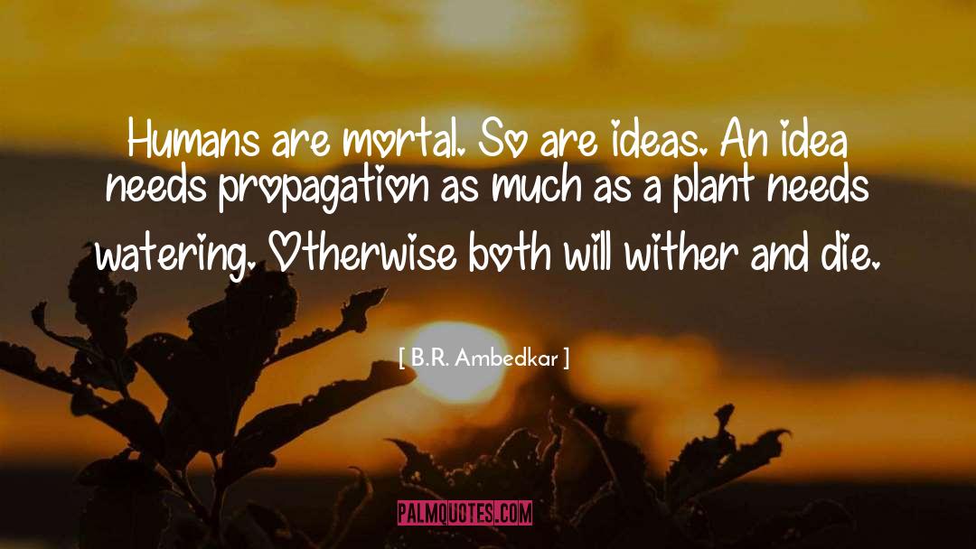 A Plant quotes by B.R. Ambedkar