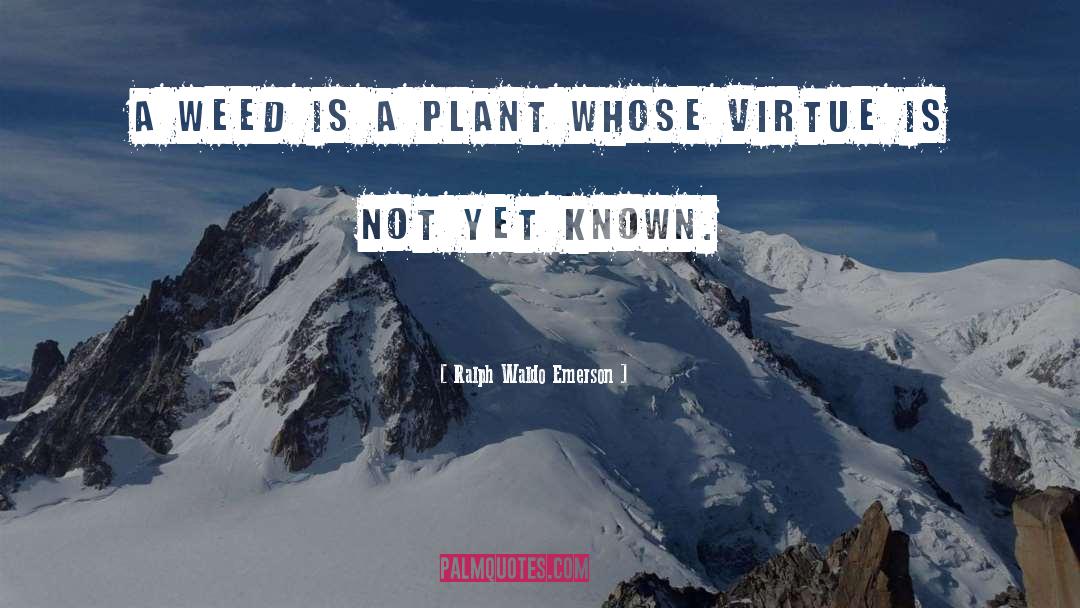 A Plant quotes by Ralph Waldo Emerson