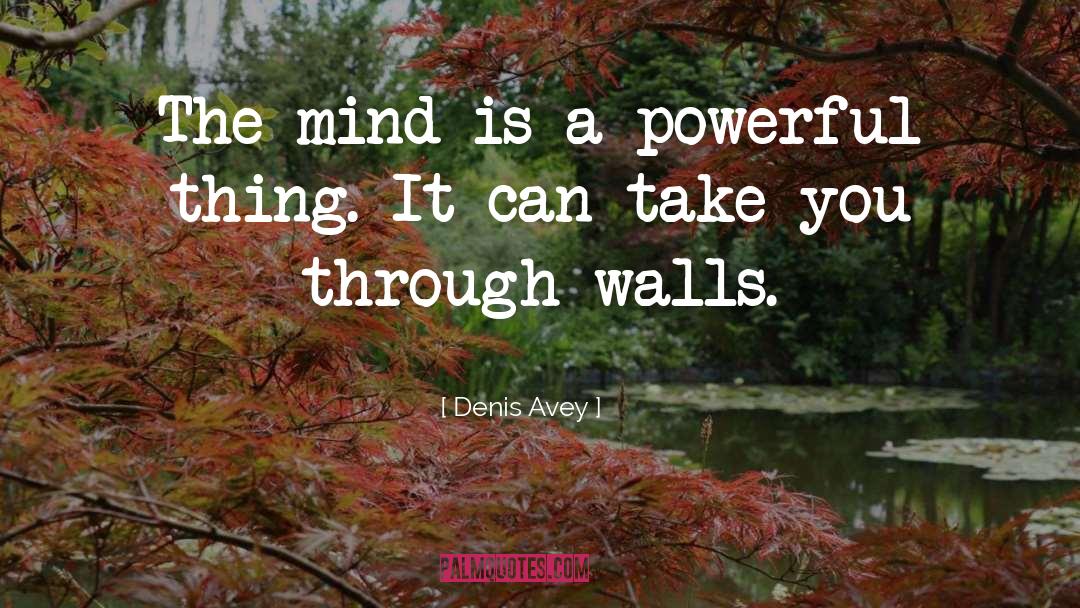 A Positive Mindset quotes by Denis Avey