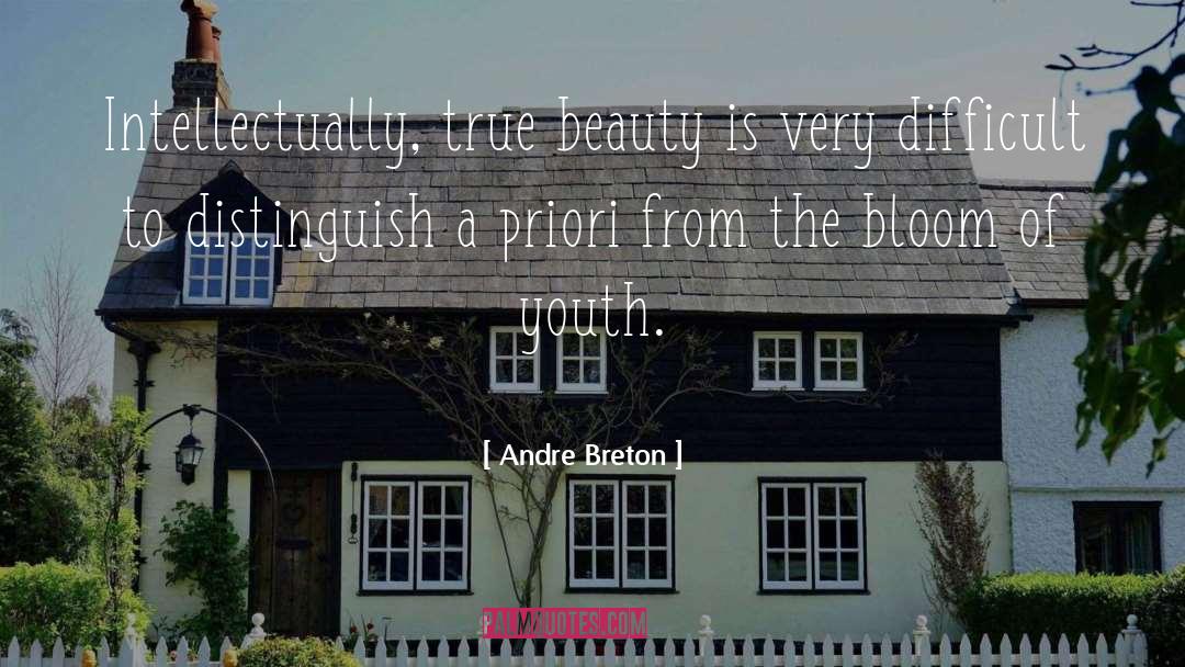 A Priori quotes by Andre Breton