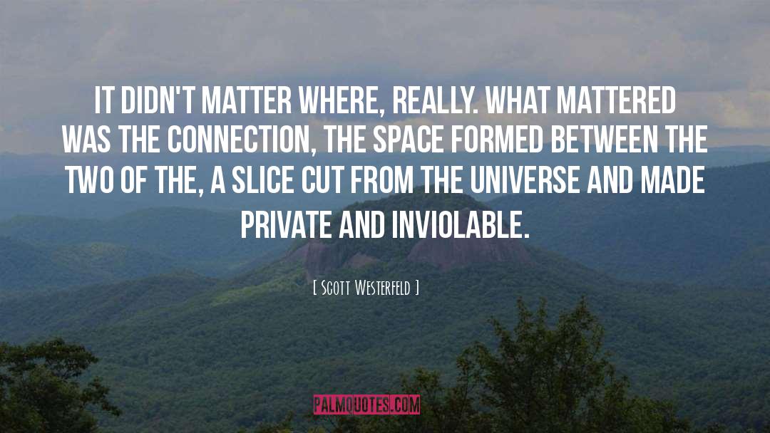 A Private Experience quotes by Scott Westerfeld