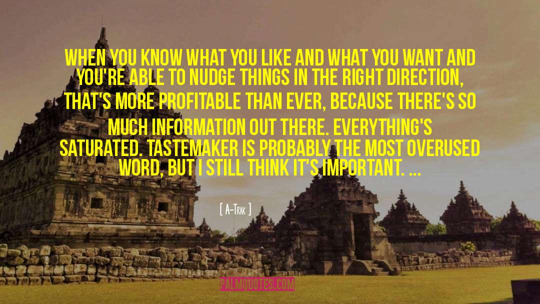 A Profitable Life quotes by A-Trak