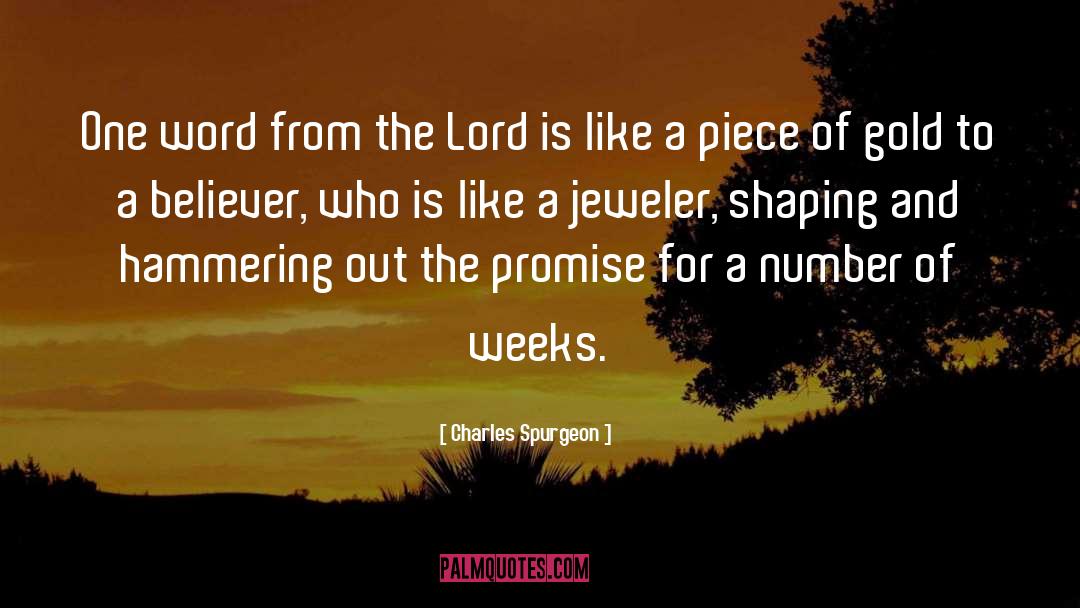 A Promise Is Forever quotes by Charles Spurgeon