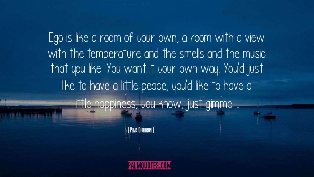 A Room With A View quotes by Pema Chodron