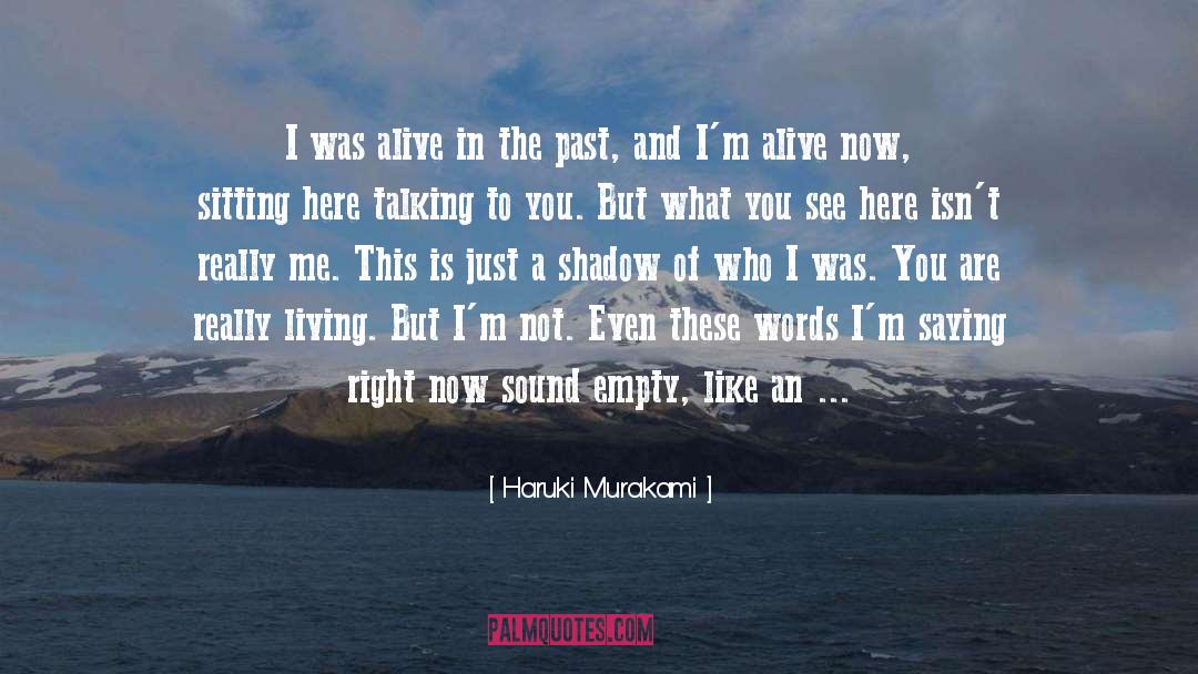 A Shadow quotes by Haruki Murakami