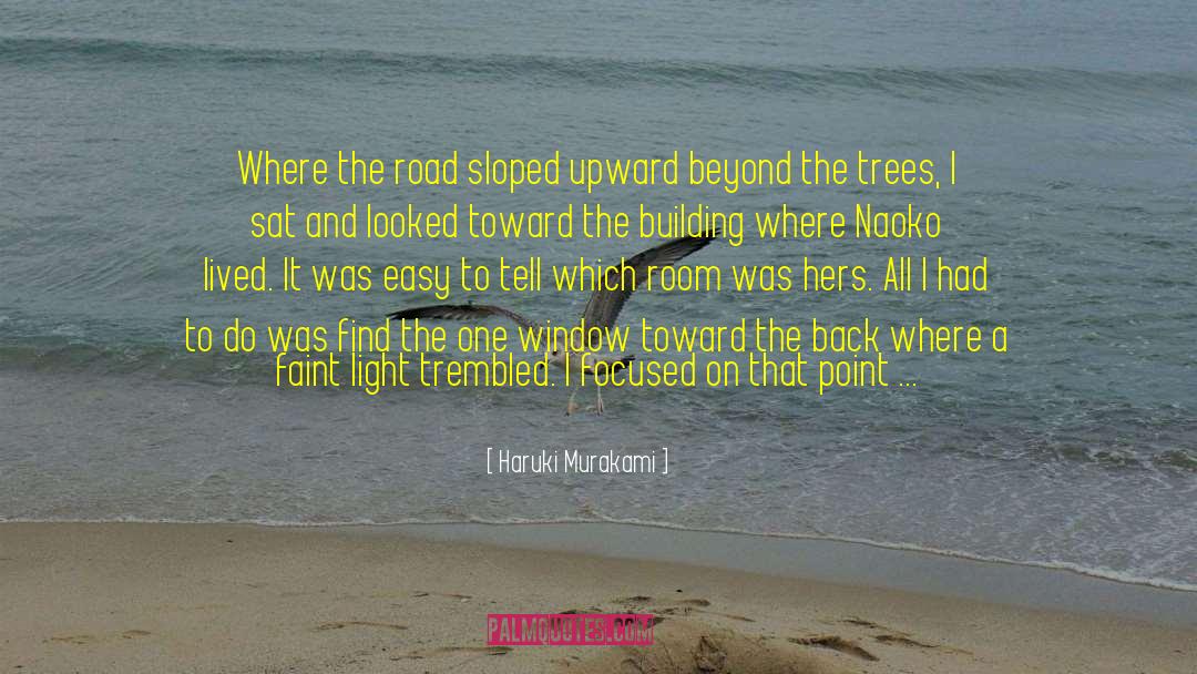 A Shore Thing quotes by Haruki Murakami