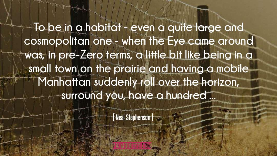A Small Town quotes by Neal Stephenson