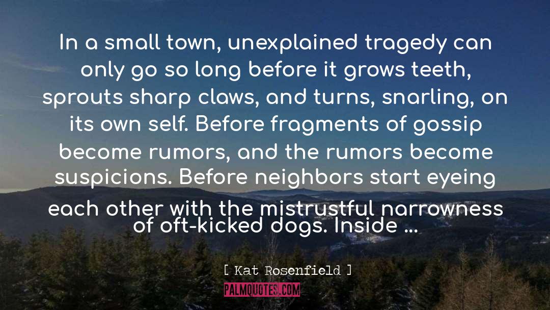 A Small Town quotes by Kat Rosenfield