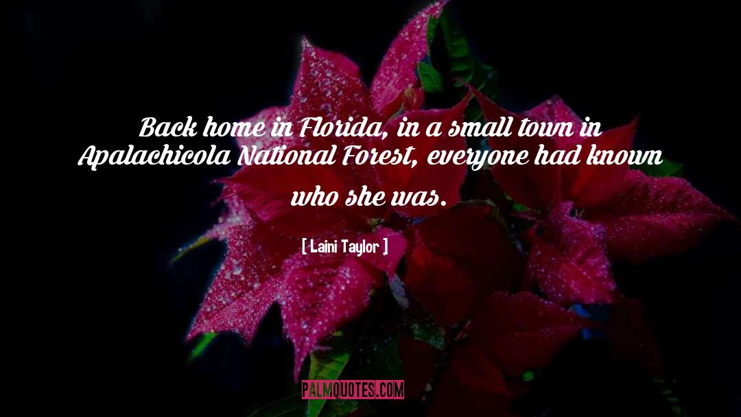 A Small Town quotes by Laini Taylor