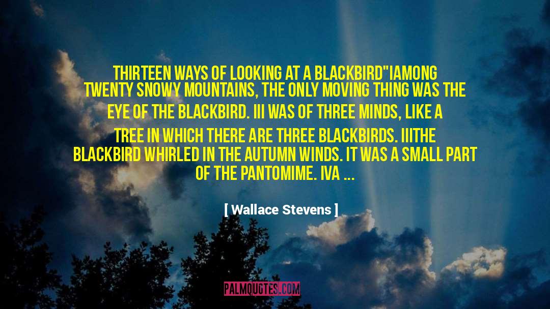 A Snowy Day quotes by Wallace Stevens