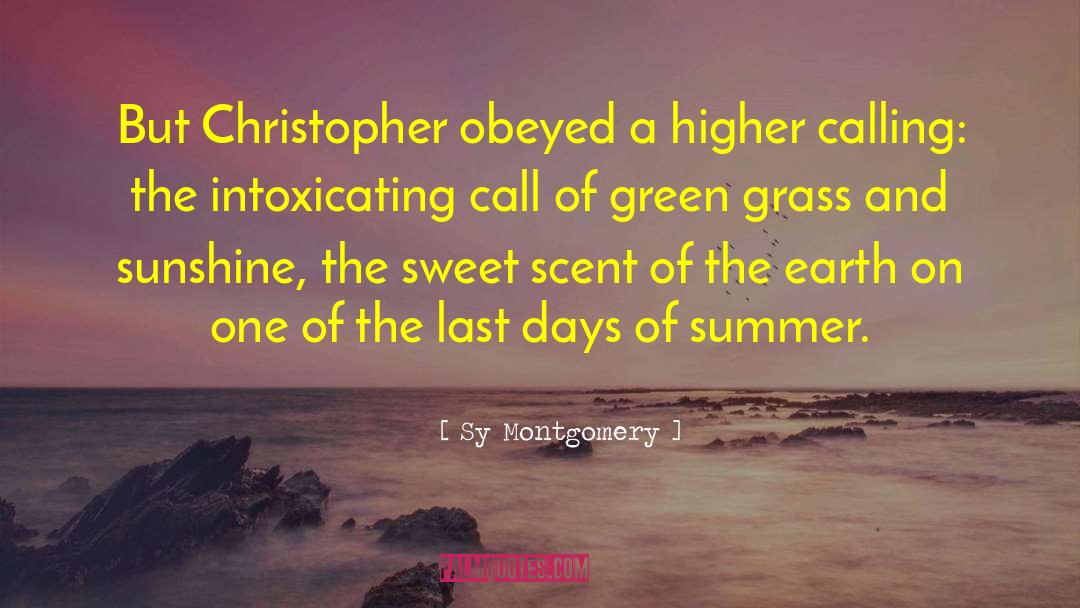 A Spear Of Summer Grass quotes by Sy Montgomery