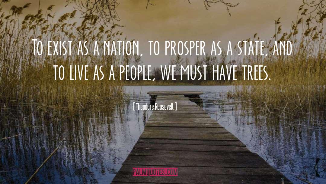 A State quotes by Theodore Roosevelt