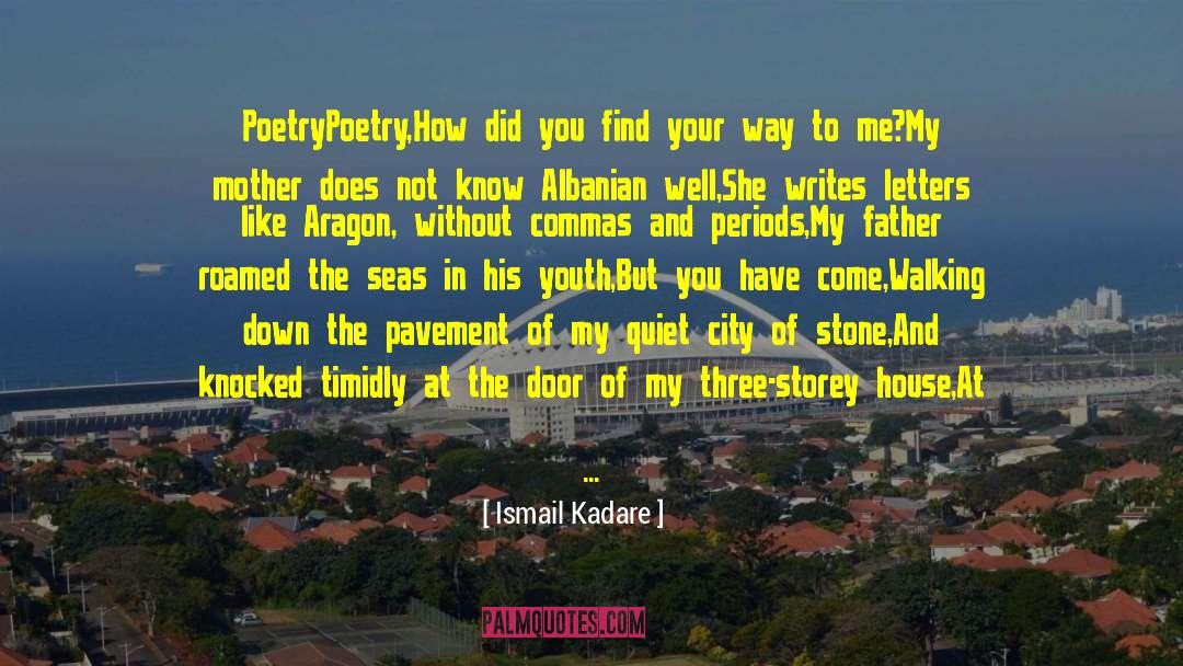 A Stone quotes by Ismail Kadare