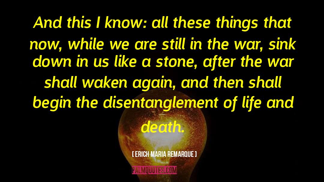 A Stone quotes by Erich Maria Remarque