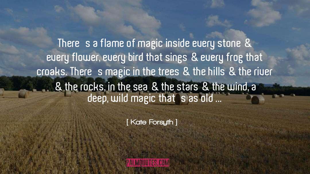 A Stone quotes by Kate Forsyth