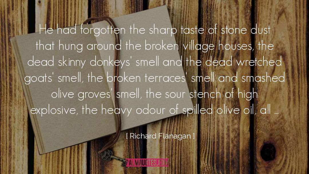A Stone quotes by Richard Flanagan