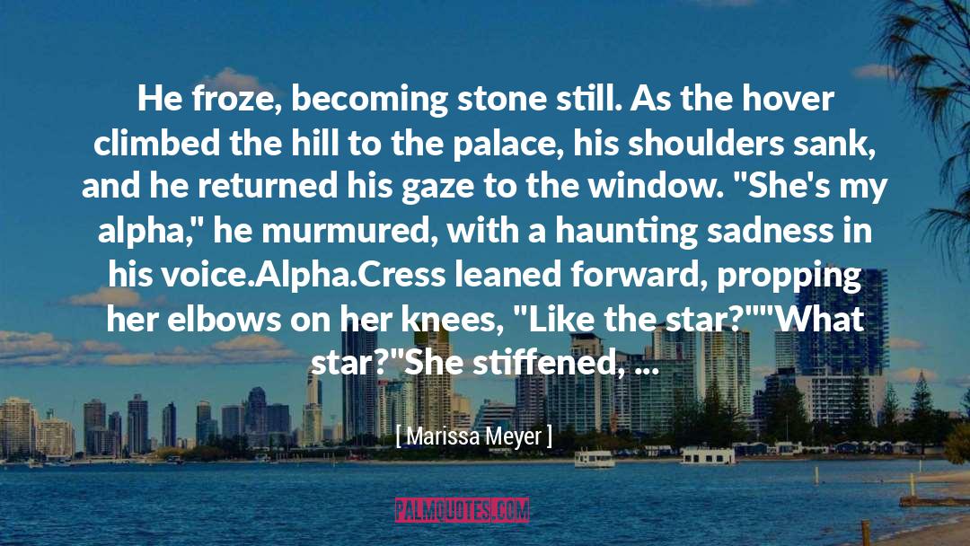 A Stone quotes by Marissa Meyer