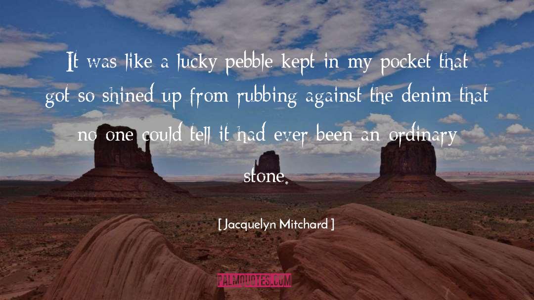 A Stone quotes by Jacquelyn Mitchard