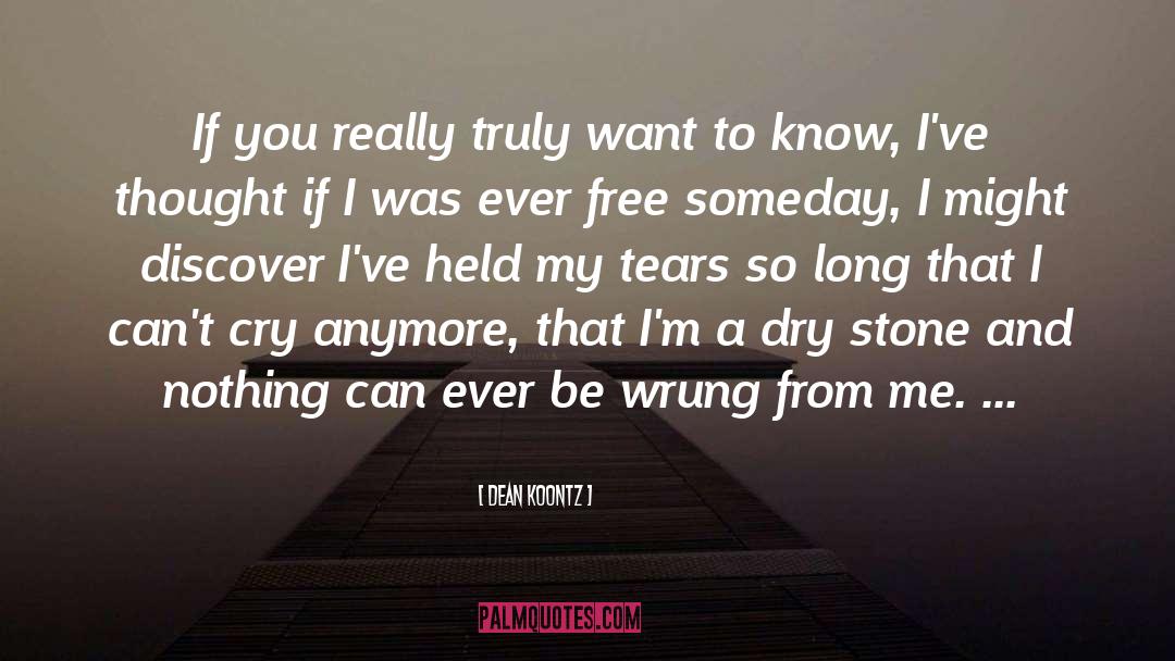 A Stone quotes by Dean Koontz