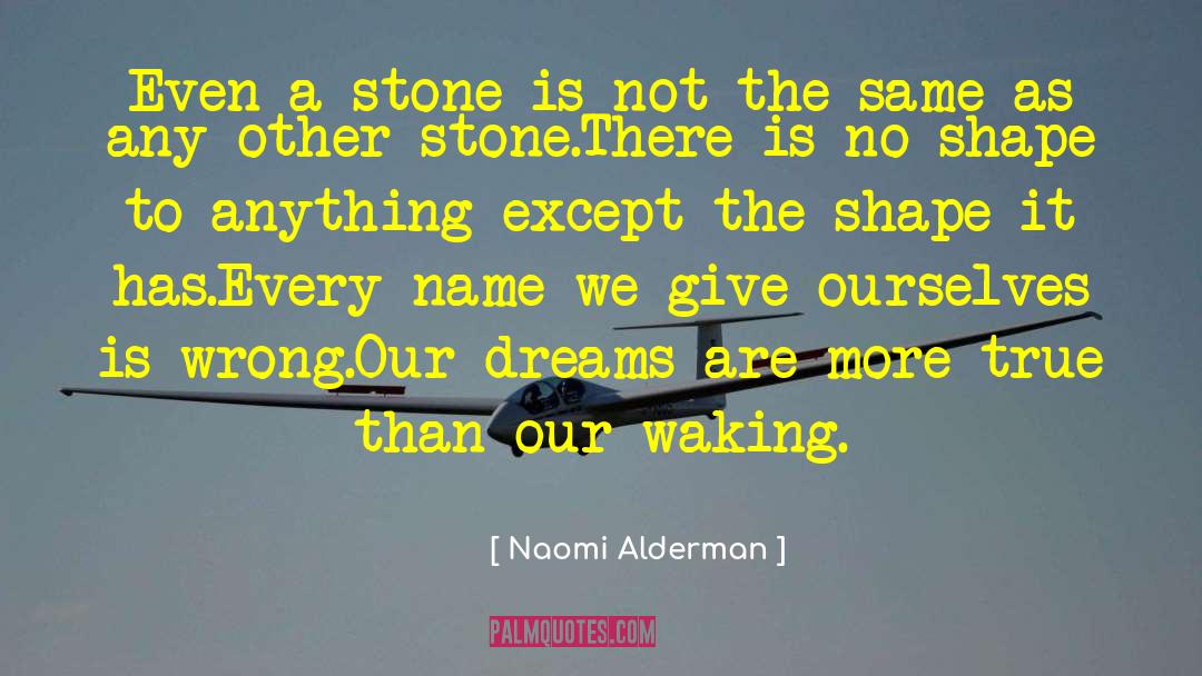 A Stone quotes by Naomi Alderman