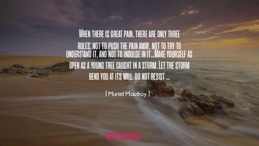 A Storm quotes by Muriel Maufroy