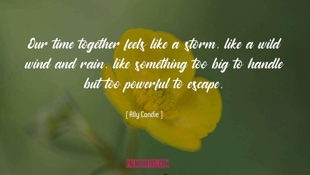 A Storm quotes by Ally Condie