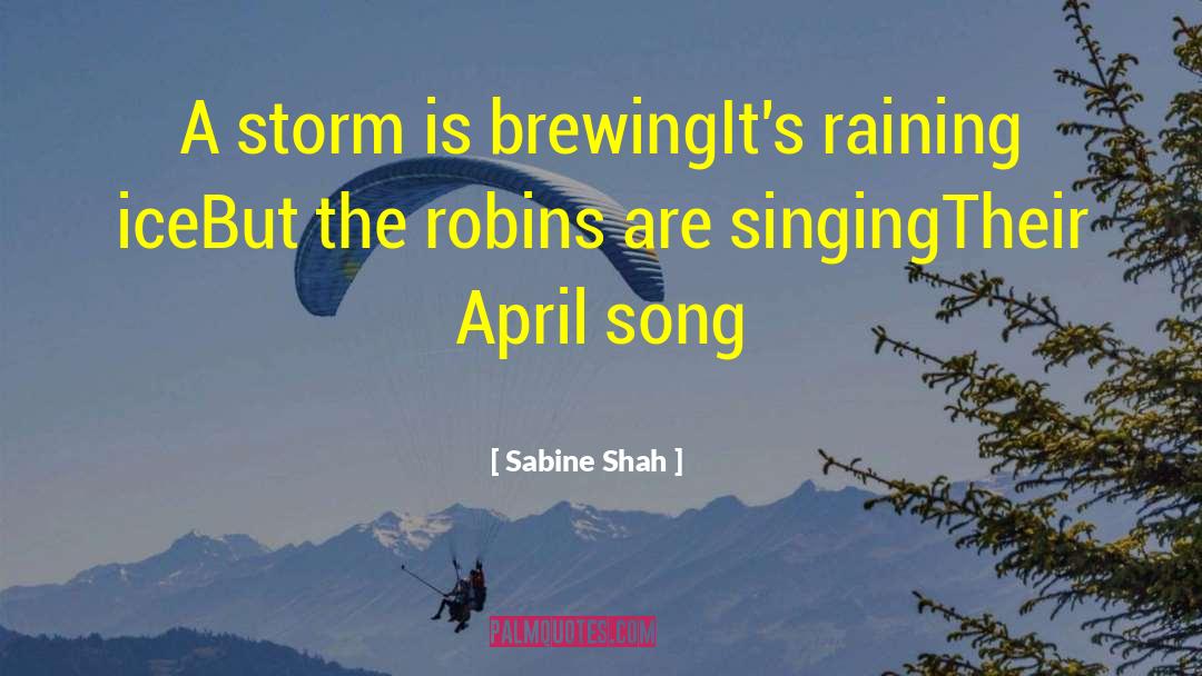 A Storm quotes by Sabine Shah