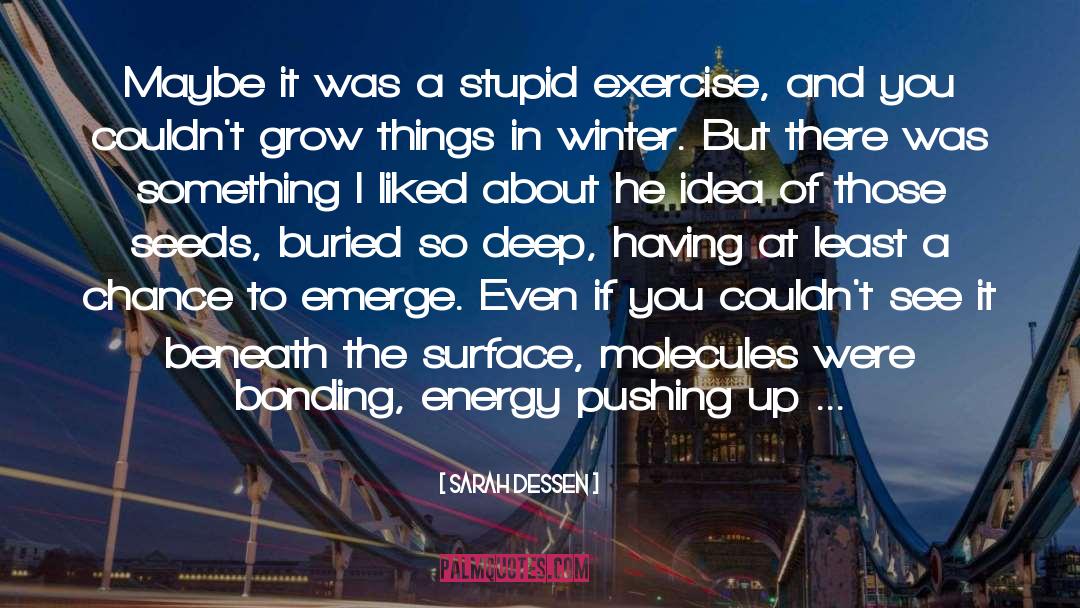 A Stupid Ex Boyfriend quotes by Sarah Dessen