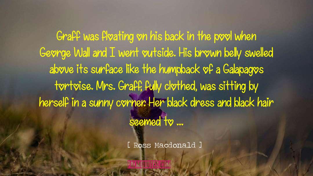 A Sunny Story quotes by Ross Macdonald