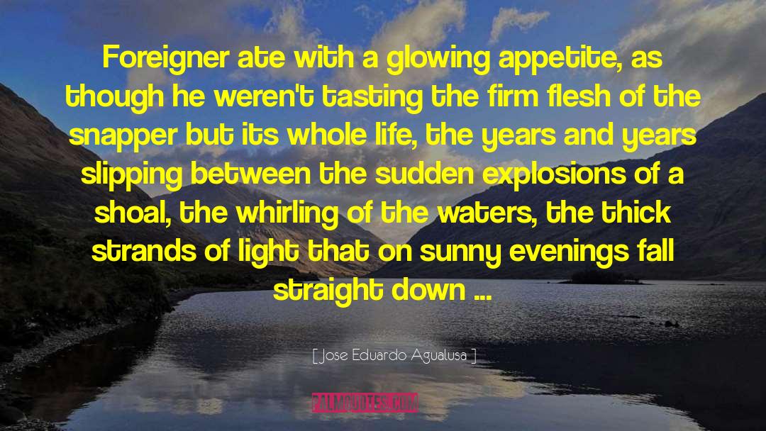A Sunny Story quotes by Jose Eduardo Agualusa