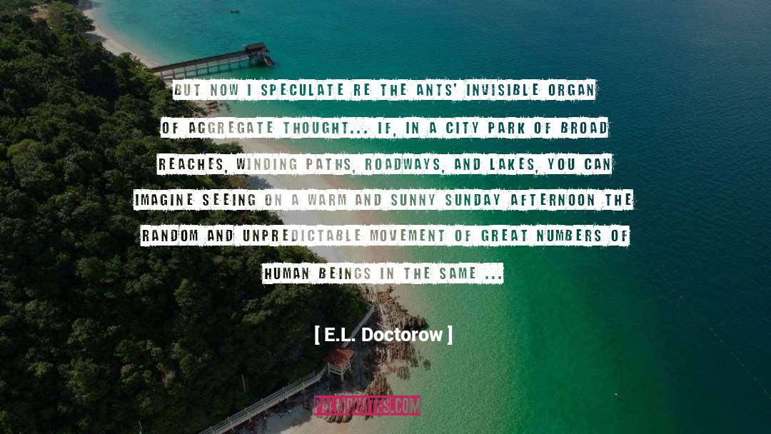 A Sunny Story quotes by E.L. Doctorow