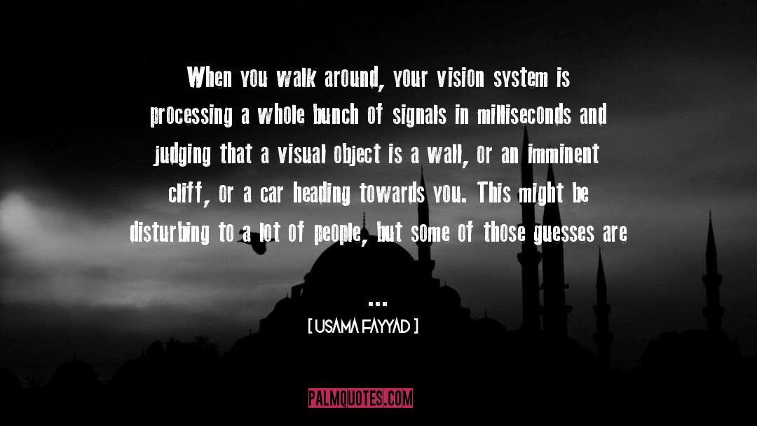 A System Of Magic quotes by Usama Fayyad