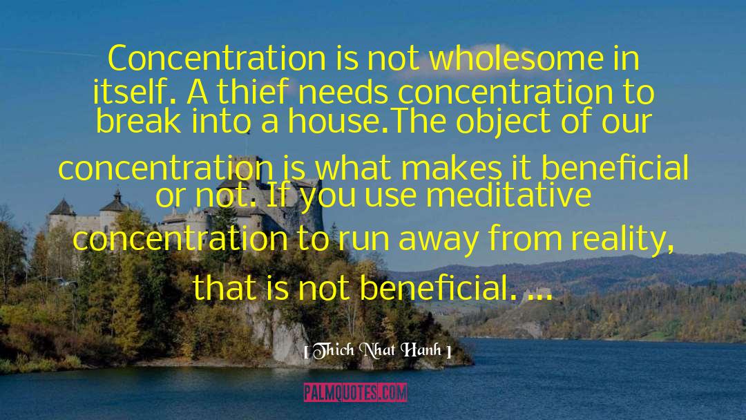 A Thief In The Night quotes by Thich Nhat Hanh