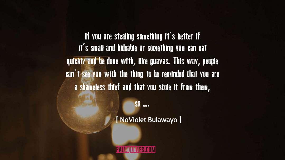 A Thief In The Night quotes by NoViolet Bulawayo