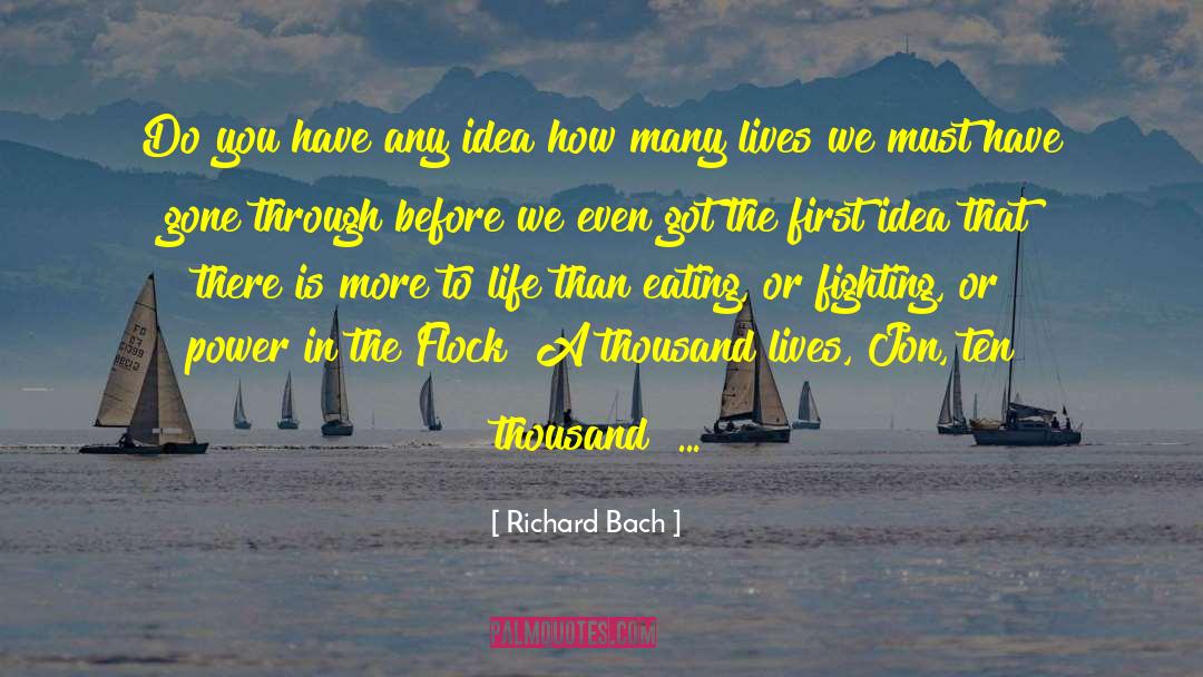 A Thousand Lives quotes by Richard Bach