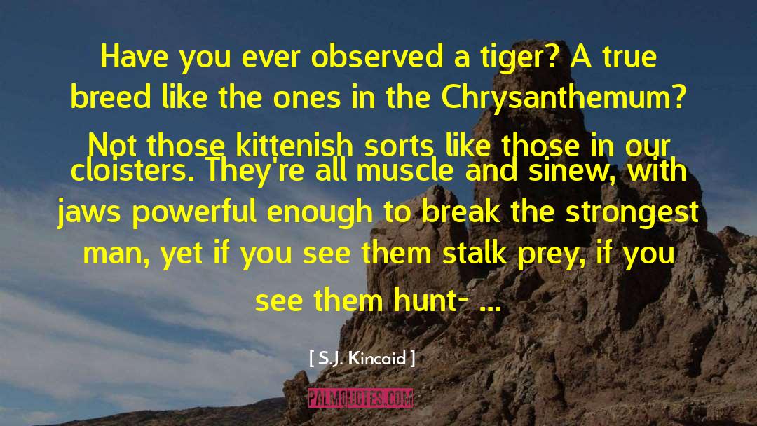 A Tiger S Claim quotes by S.J. Kincaid