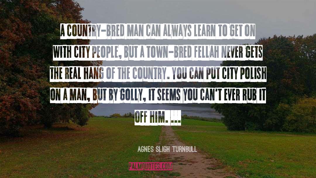 A Town quotes by Agnes Sligh Turnbull