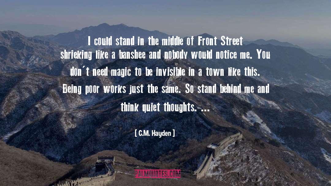 A Town quotes by C.M. Hayden