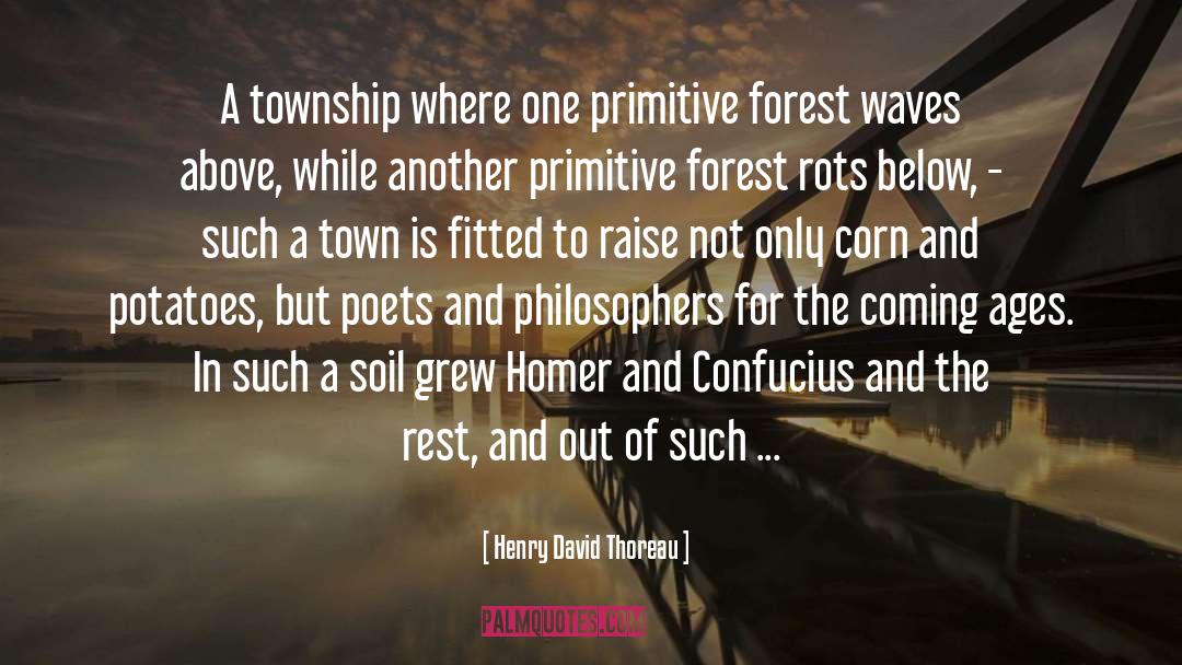 A Town quotes by Henry David Thoreau