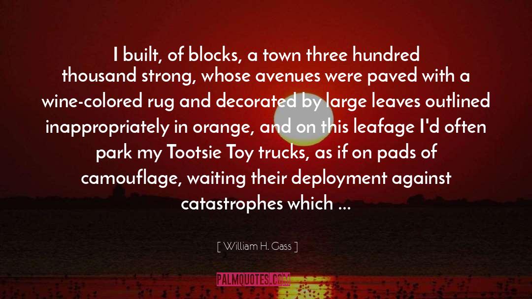 A Town quotes by William H. Gass