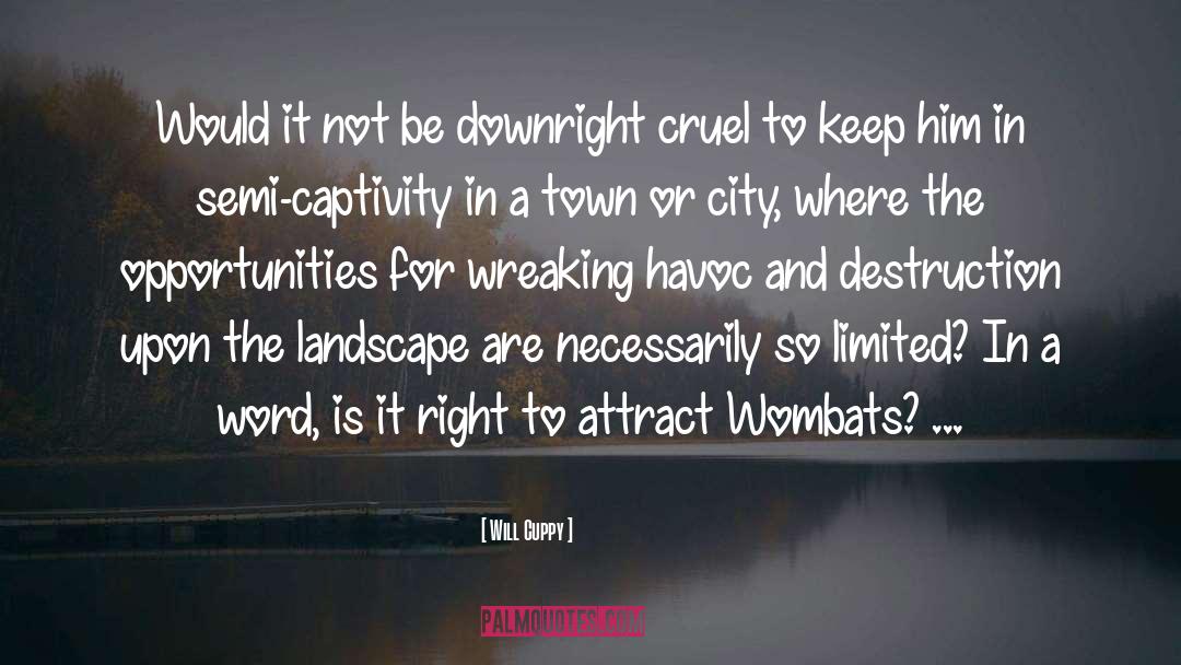 A Town quotes by Will Cuppy