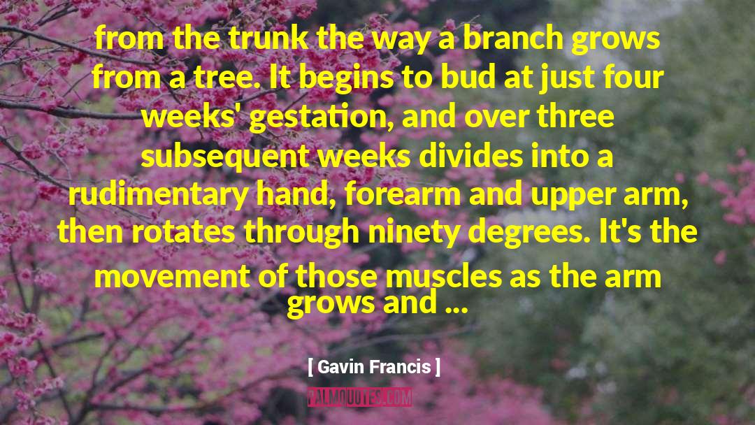 A Tree Grows In Brooklyn quotes by Gavin Francis