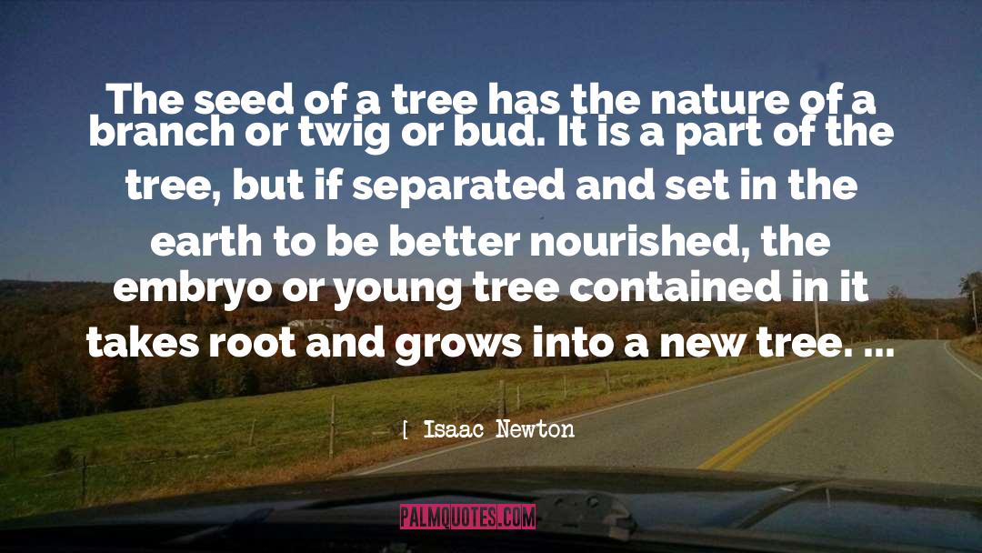 A Tree Grows In Brooklyn quotes by Isaac Newton