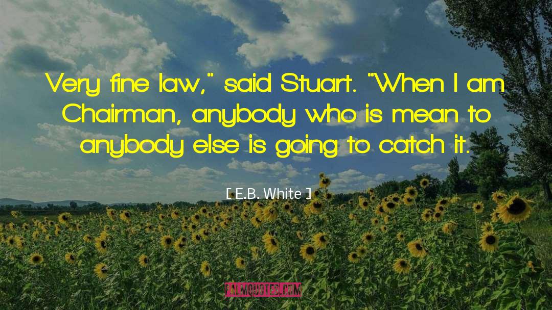 A Very Fine Law quotes by E.B. White